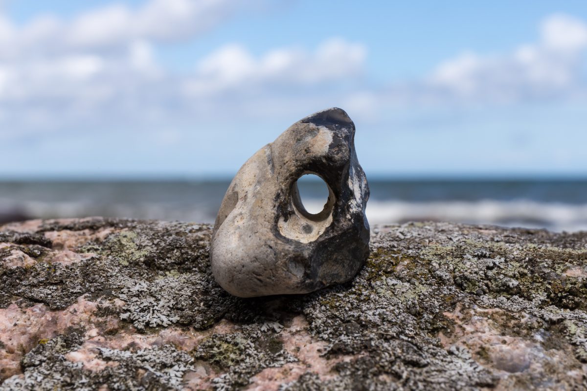 How to Identify Adder Stone | Properties, Meaning & Uses