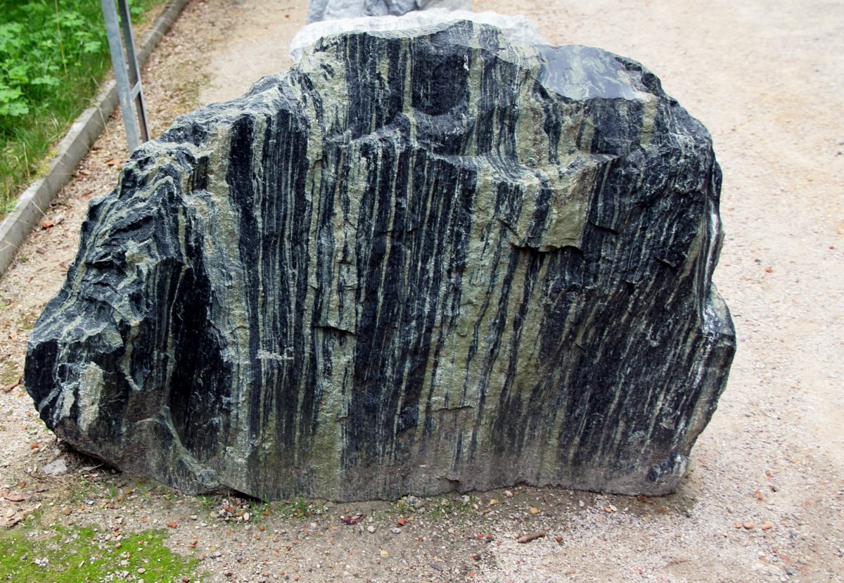 Metamorphic Identification Guide | 25+ Types with Photos