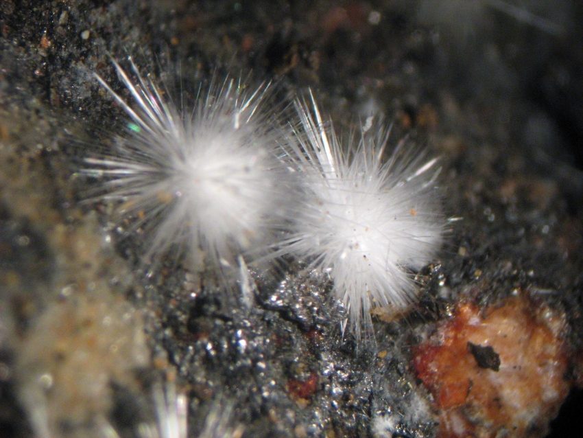 Cavinate How to Identify Canavesite | Properties, Meaning & Uses